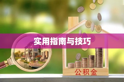 巴音郭楞实用指南与技巧
