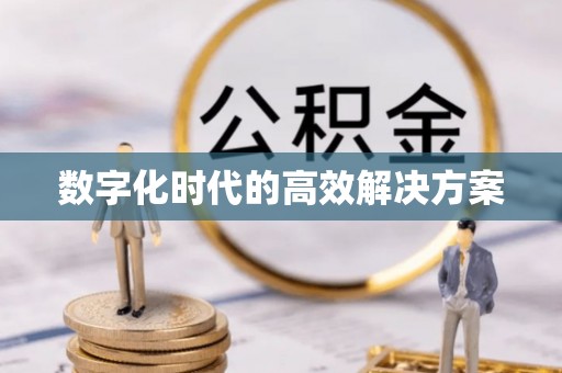 巴音郭楞数字化时代的高效解决方案
