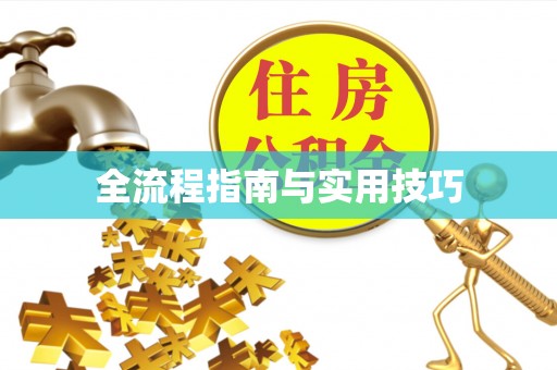 巴音郭楞全流程指南与实用技巧
