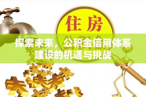 巴音郭楞探索未来，公积金信用体系建设的机遇与挑战