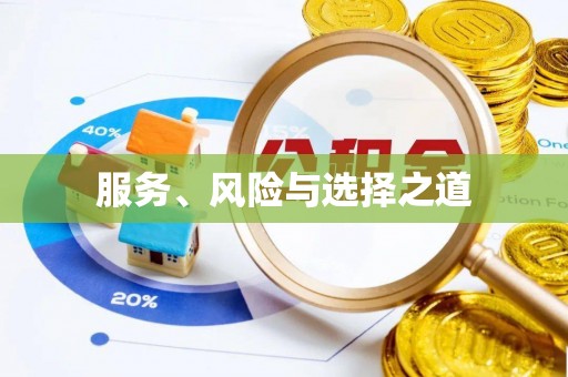 巴音郭楞服务、风险与选择之道